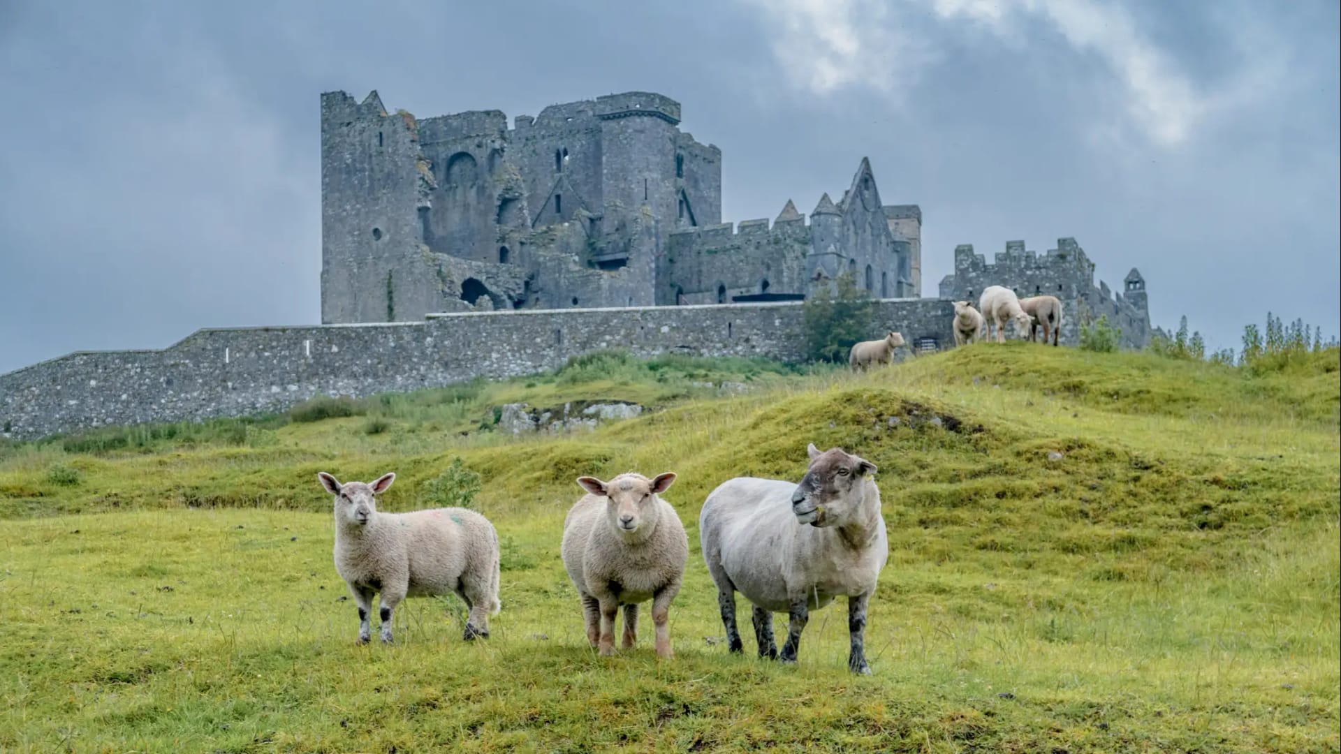 Ireland & England