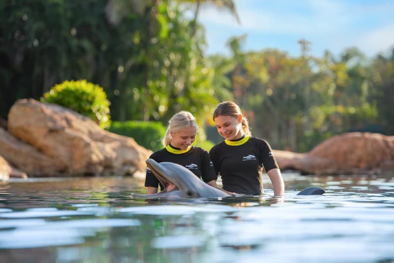 Discovery Cove